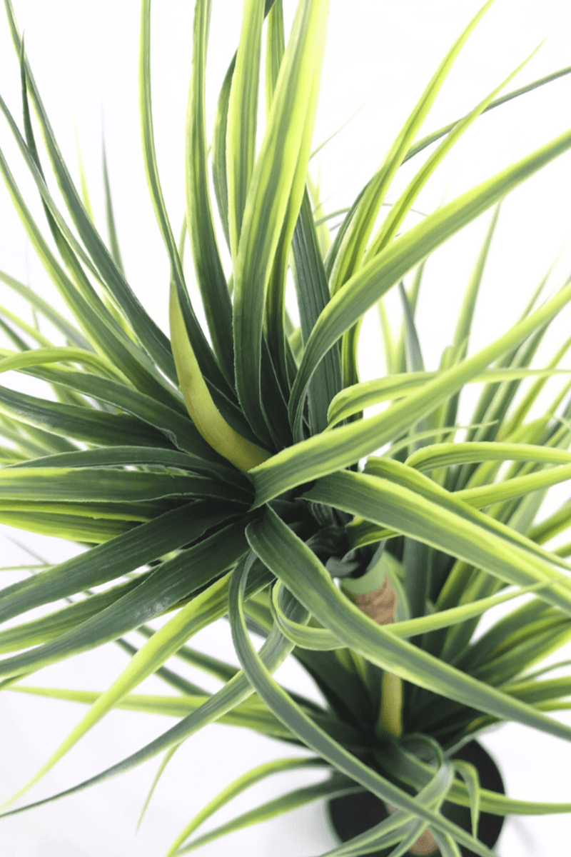 Plante Artificielle Dracaena 100cm