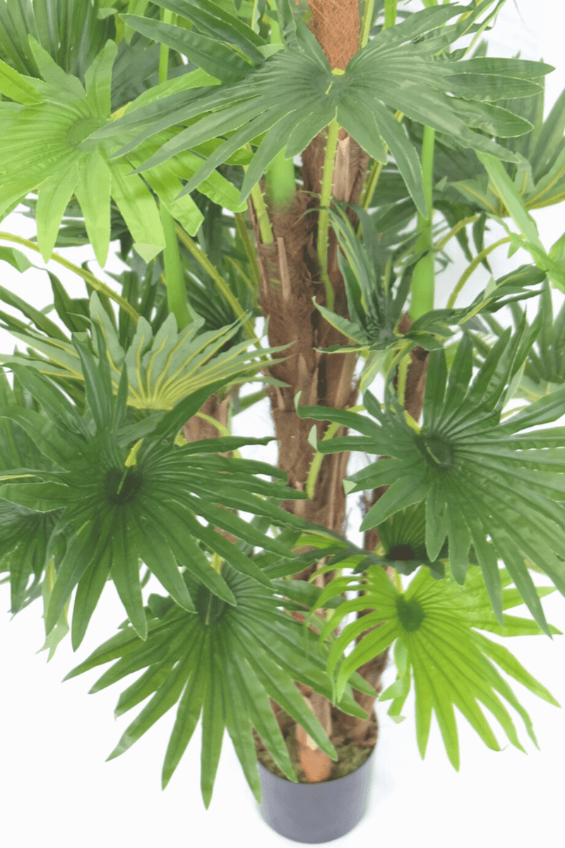 Plante Artificielle d'Intérieur Palmiers - 150cm